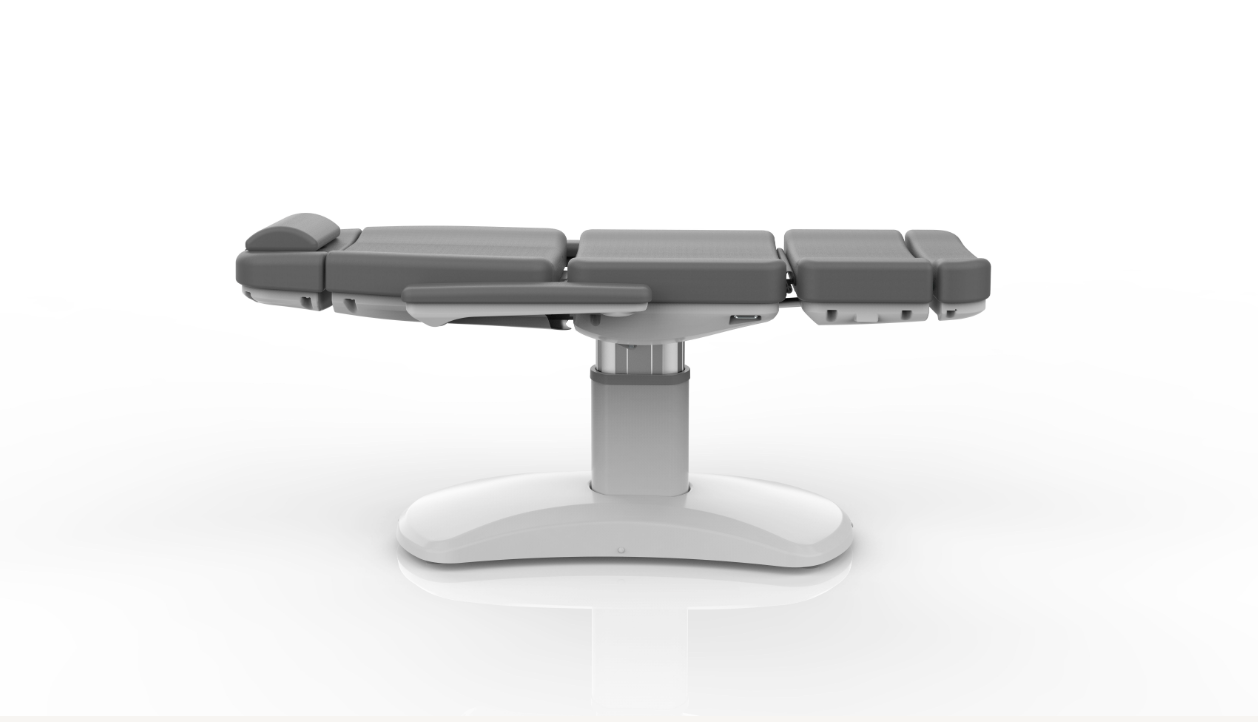 Ariza Electric Bed