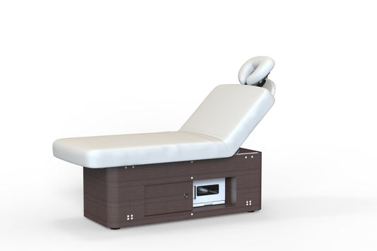 Thera Electric Bed