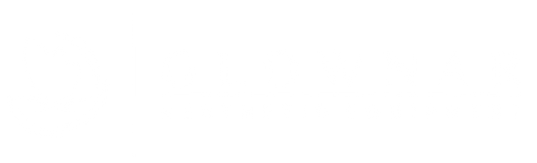 Ela 2.0 Ultrasound Therapy