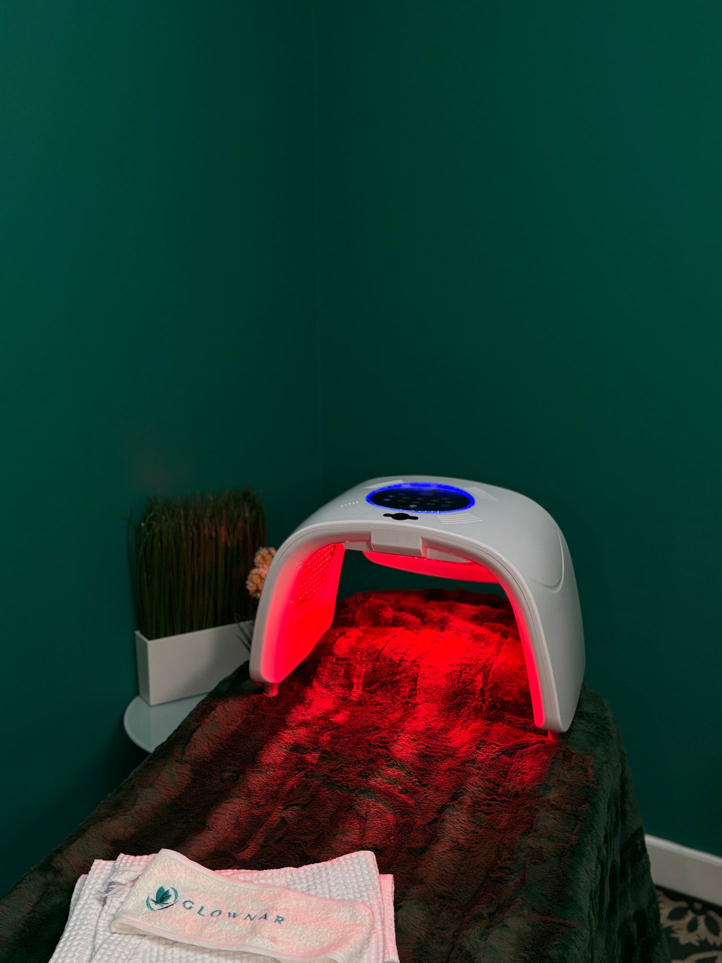 Clearance Pro Led Therapy