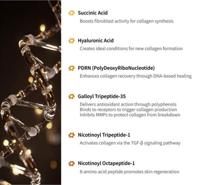 PURI COLL Rh – Recombinant Human Collagen Booster