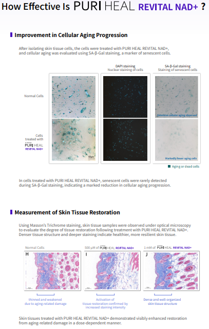 PURI HEAL REVITAL NAD+ – Cellular Metabolic Boosting Solution