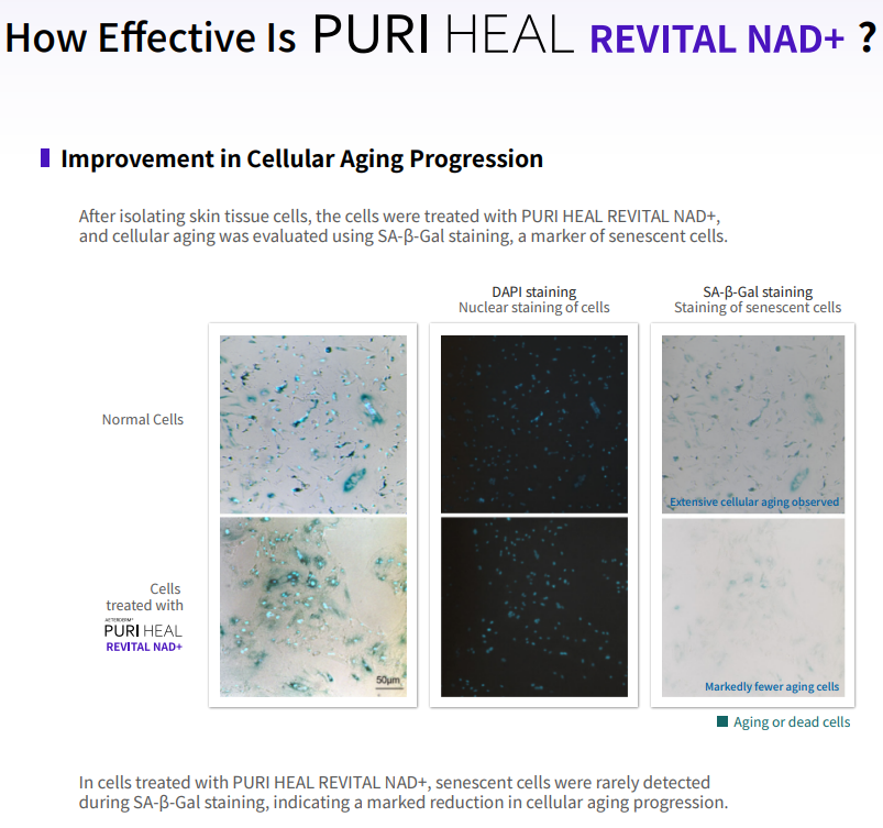 PURI HEAL REVITAL NAD+ – Cellular Metabolic Boosting Solution Wholesale