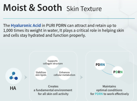 PURI PDRN Professional Skin Rejuvenation System