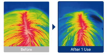 DANONAL Calamus + Exosome Scalp Serum