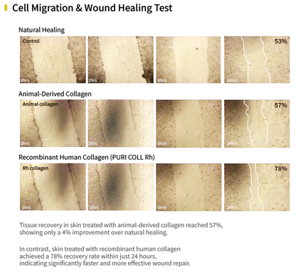 PURI COLL Rh – Recombinant Human Collagen Booster